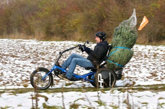 Delta tx E-Chopper Komfort Adult Trike Dreirad Erwachsene Winter